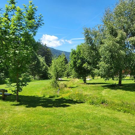 Apartments Stoll Planca di Sopra المظهر الخارجي الصورة